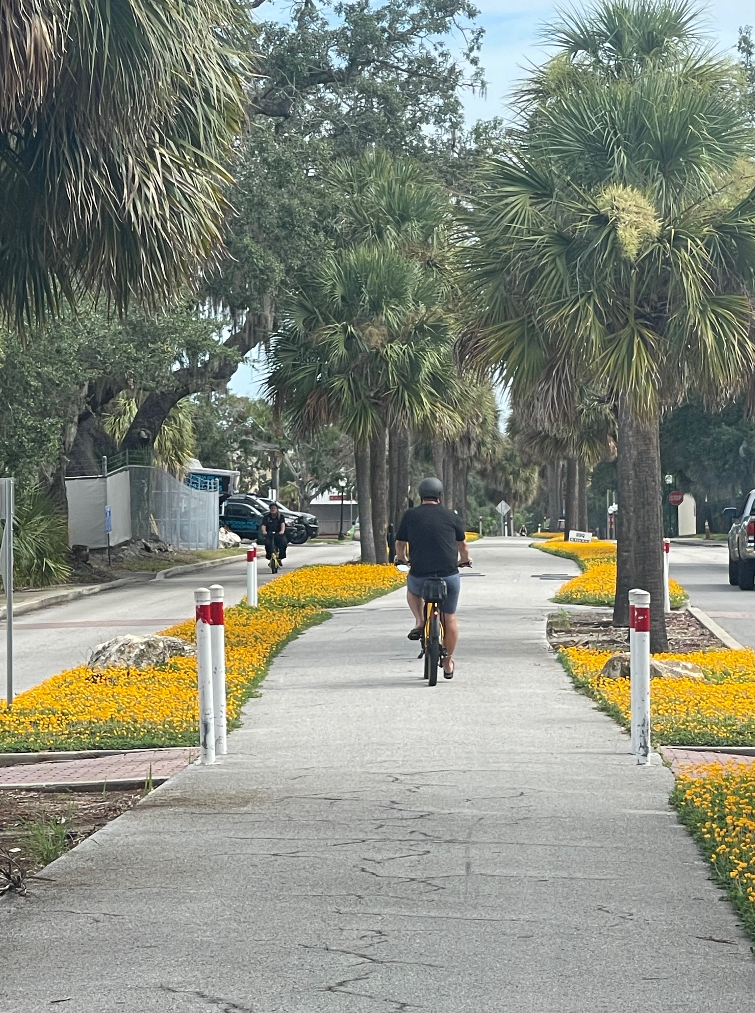 Bike the beautiful Pinellas Trail