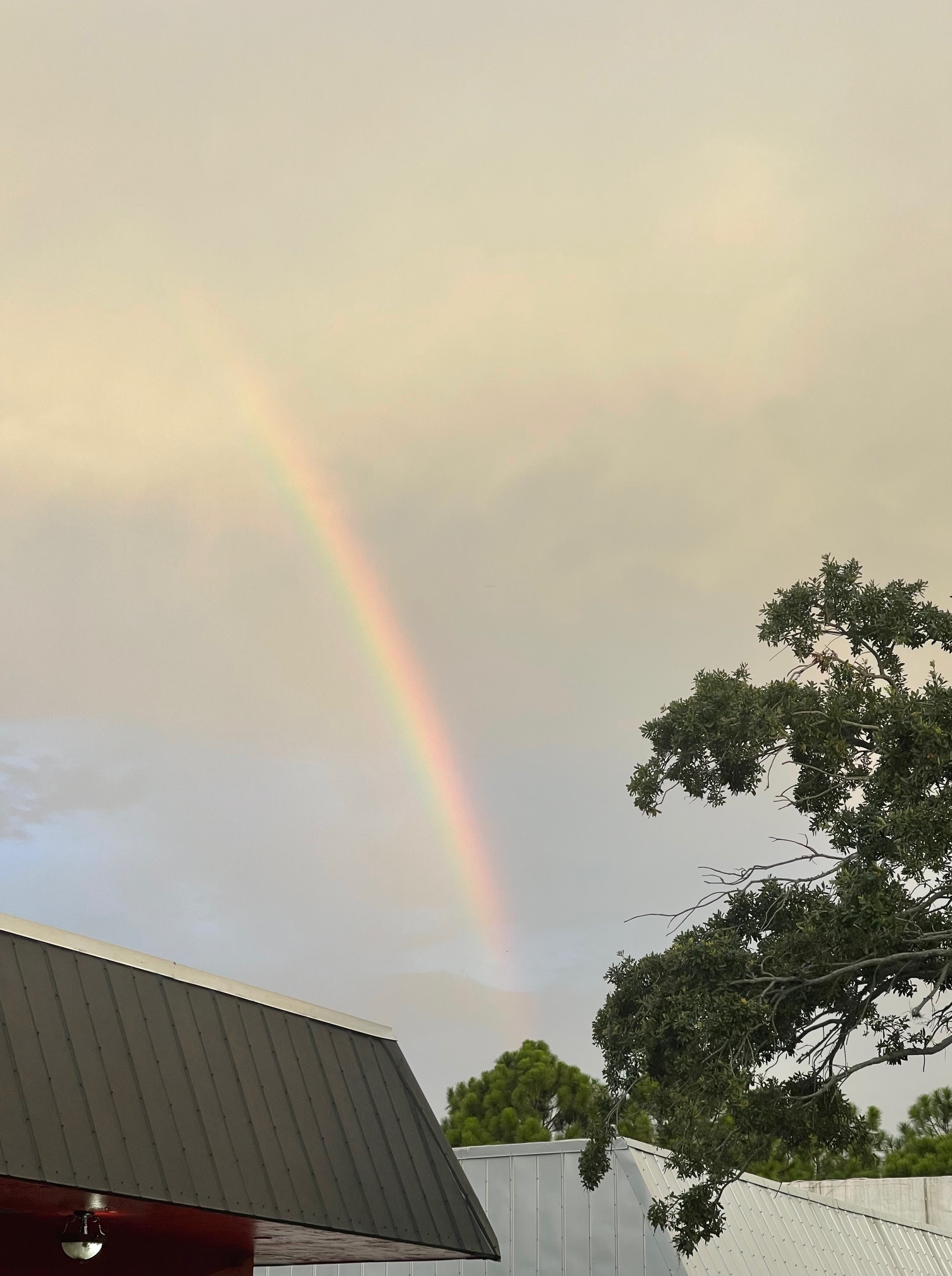 Take a moment to catch a glimpse of beautiful scenery